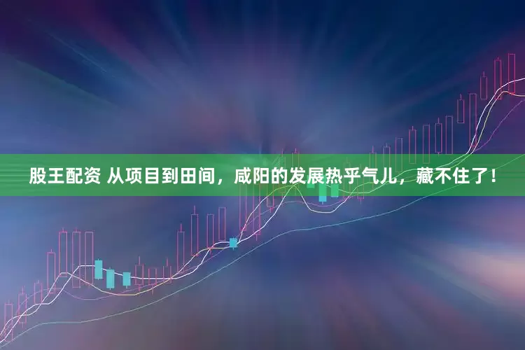 股王配资 从项目到田间，咸阳的发展热乎气儿，藏不住了！