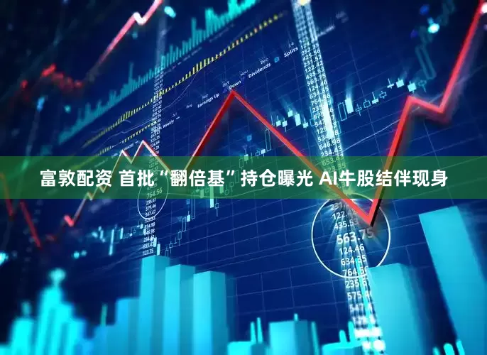 富敦配资 首批“翻倍基”持仓曝光 AI牛股结伴现身